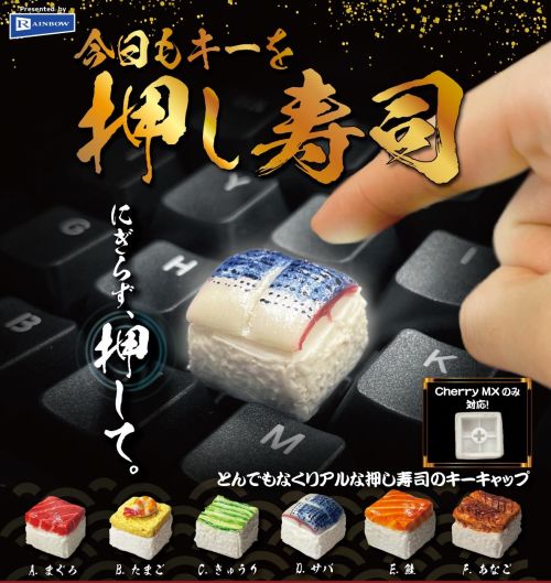 sushi sushi